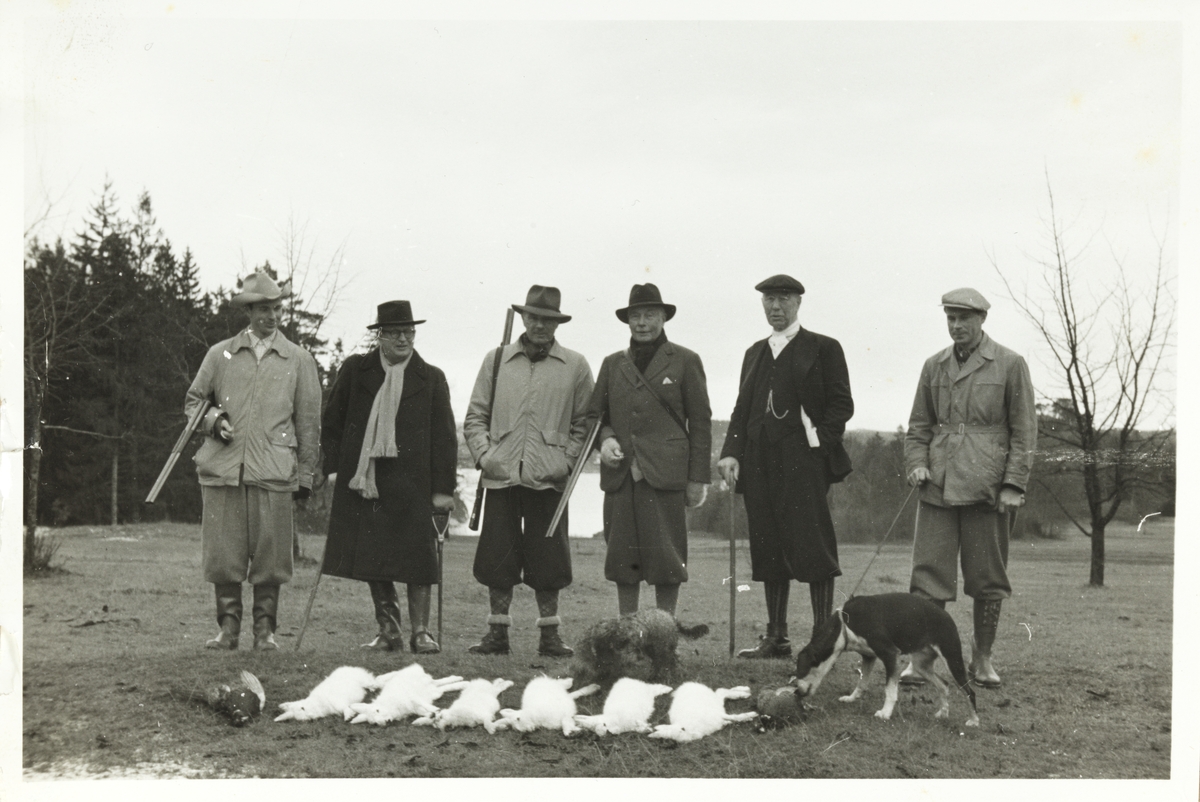 Et jaktlag bestående av seks menn viser fram jaktbyttet, seks harer og to fasaner(?). Fra venstre Aage Treschow, Pontus de la Gardie, Arne Meidell, verten Fritz Treschow, Westye Parr Egeberg og en ukjent jeger med jakthund. Fotografert på Malmøya i januar 1954.