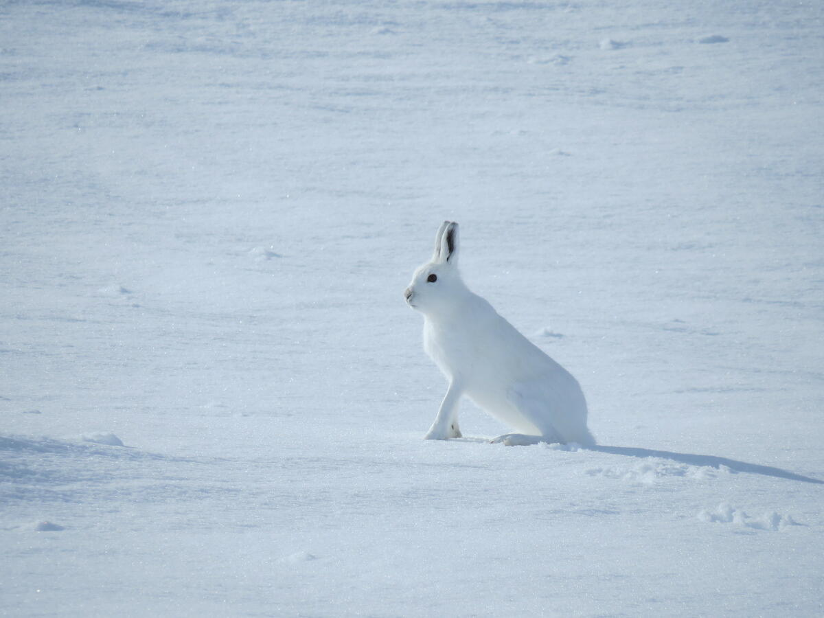 Foto: Tore Veisetaune / Foto: Tore Veisetaune