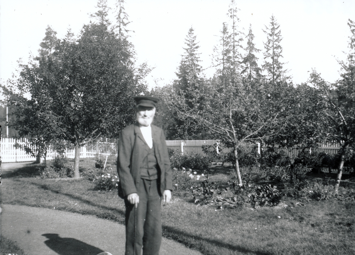 Uidentifisert eldre mann med stokk i hagen utenfor bestyrervillaen på Kistefos.  Frukttrær, bærbusker, blomsterbed og stakittgjerde i bakgrunnen Mannen har kaskett på hodet, og er ellers iført jakke, vest, bukser.