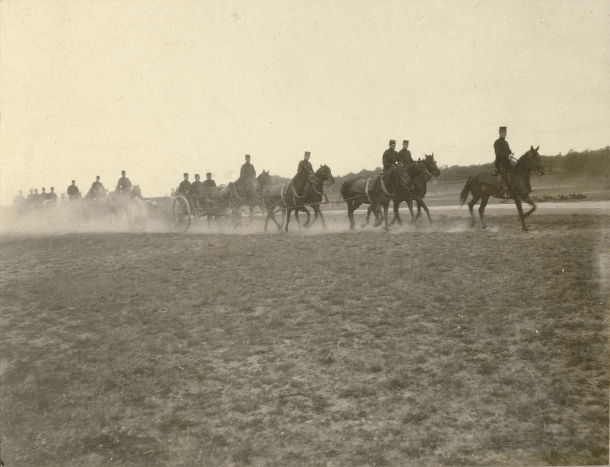 Hästspann drar artilerpjäs på övningsplats.