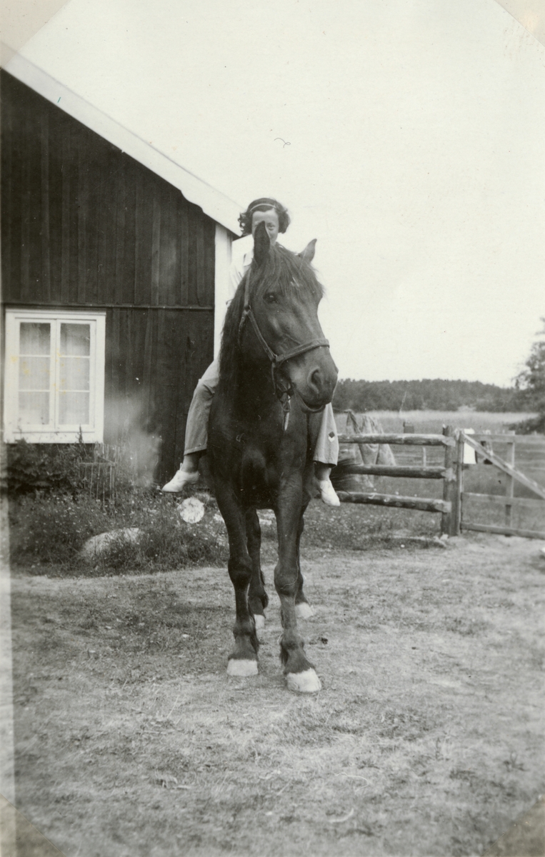 Text i fotoalbum: "... Hon och hästen".