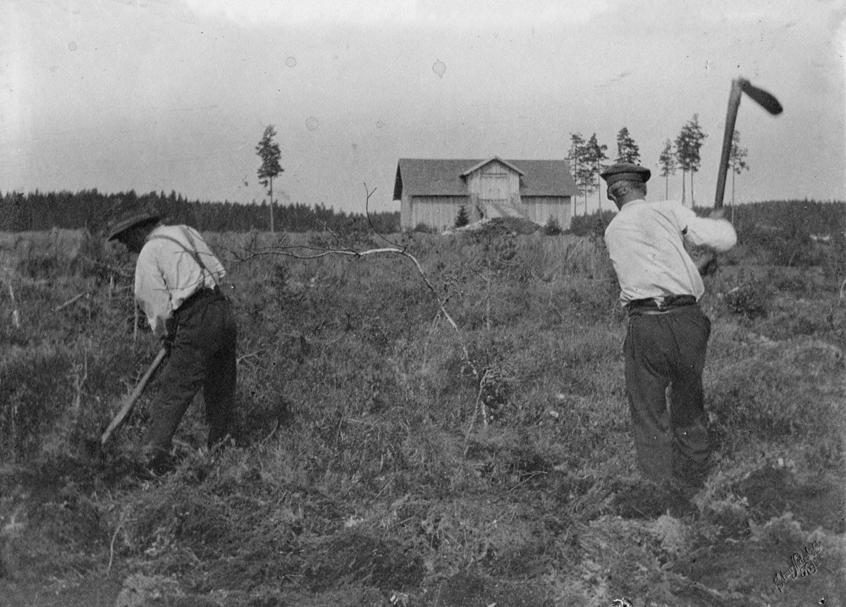 Torvdrift.To menn jobber med klargjøring av myr til produksjon.Først må øverste laget av myra fjernes og fraktes til utkantene av myra.
