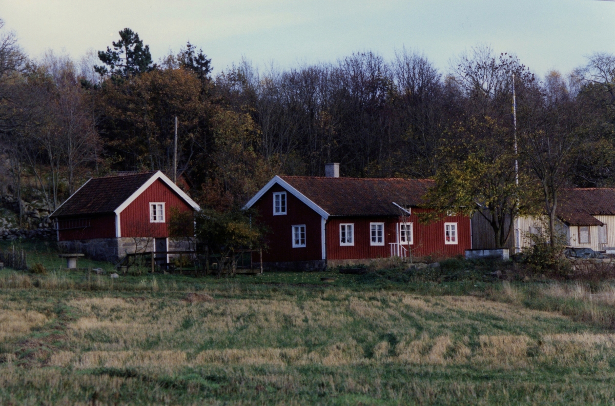 Gårdarna i Långåker, cirka 1985 - 1990. Till vänster Hembygdsgården Långåker 1:3 och till höger skymtas Långåker 1:2 "Davids", "Derras".