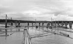 Norsk Fløtingsforbunds befaring til Drammensvassdraget i 196