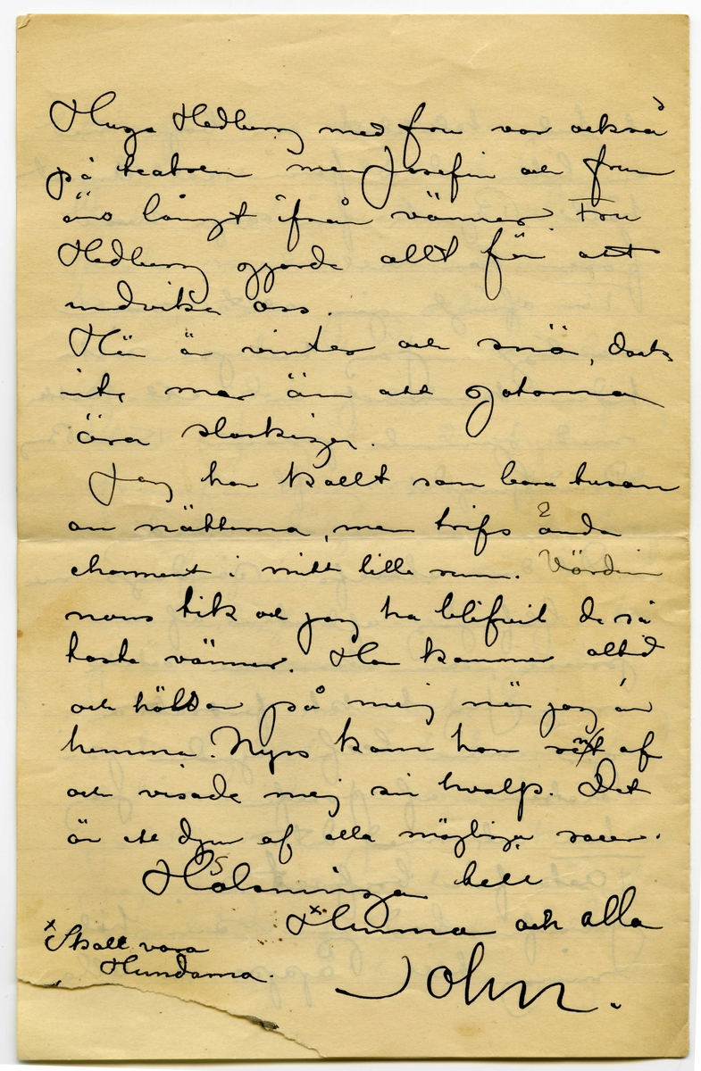 Brev 1902-xx-24 från John Bauer till Emma, Joseph, Hjalmar och Ernst Bauer, bestående av fyra sidor skrivna på fram- och baksidan av ett vikt pappersark. Huvudsaklig skrift handskriven med svart bläck. Det nedre högra hörnet på tredje sidan, samt vänstra hörnet på fjärde (samma papper) är avrivet. På fjärde sidan finns bläck runt kanterna till avrivningen med antydan till text eller kladd. 
.
BREVAVSKRIFT:
.
[Sida 1]
Söndag den 24?
1902
Snälle Pappa, Mamma,
Hjalmar och Enne!
(Hvarför får jag inga
bref. Det måtte väl al-
drig händt något tråkigt
som ni inte vill skrifva
och tala om.
Jag har ju inte fått något
bref pa Gud vet när.
Ett par gånger om dagen
är jag och tittar i bref-
lådan och alltid utan re-
sultat.)
Nu har min länge vän-
tade snufva inställt sig
och det med en kollosal
.
[Sida 2]
kraft, Och så har jag
gått och värkat tungus
hela sista veckan. Vår
siste modell den där mun-
ken, som jag skref om,
kan inte tusan måla
från den plats, som jag
har. Jag har 2 stycken
framför mej, som för det
mästa döljer minst half-
va figuren och så ändras
naturligtvis vecken på kå-
pan [överstruket ord] hvarje tim-
ma. Ännu [överstruket: inte] har jag
inte lyckats åstakomma
det minsta och nervös och
jäklig som jag är kommer
jag nog aldrig till något
resultat från det hållet.
I morgon tänker jag skrapa
.
[Sida 3]
ut hela klabbet och börja med
en liten duk från ett annat
håll. Björk får säja hvad
fasen han vill.
Fär ofrigt går allt som
vanligt. Jag har på sista
tiden kommit in i ett kotteri
med gamla prissar. Knut Berg
David Ljungdal m.fl
Tistdag
Det där skrefs i söndags men
så blef jag afbruten af en
prisse, som kom och sökte
mej. Jag tänkte fortsätta i 
går, men blef bjuden på
teater af Josefin så jag 
hann inte med det.
Tack för brefvet.
Josefin bad om sin häls-
ning till Pappa och alla
.
[Sida 4]
Hugo Hedberg med fru var också
på teatern men Josefin och frun
äro långt ifrån vänner. Fru
Hedberg gjorde allt för att
undvika oss.
Här är vinter och snö, dock
inte mer än att gatorna
äro slaskiga.
Jag har kallt som bara tusan
om nätterna, men trifs ända
charmant i mitt lilla rum. Värdin
nans tik och jag ha blifvit de så
taste vänner. Hon kommer altid
och hälsar på mej när jag är 
hemma. Nyss kom hon [inskrivet: n] rent af
och visade mej sin hvalp. Det
är ett djur af alla möjliga raser.
Hälsningar till
Hunna [inritat kryss] och alla
John.
[i nedre vänstra hörnet: inritat kryss, Skall vara Hundarna.]