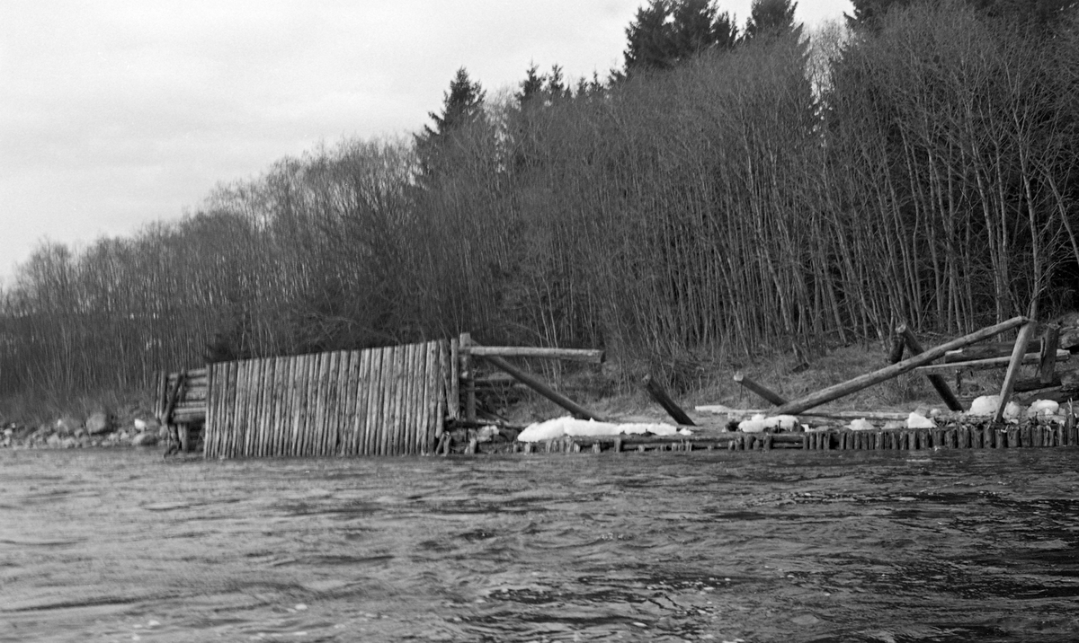 Skådam på motstrøms side av Kvislerholmen i Glomma, fotografert i 1962. Kvislerholmen ligger i Sør-Odal kommune i Hedmark, like nord for tettstedet Galterud. Skådammen var konstruert som en skrått oppoverskrånende vegg, sammensatt av tettstilte tømmerstokker, som har vært forankret i bukker ved ei steinete strandlinje. Da dette fotografiet ble tatt var en stor del av veggen ødelagt - den fremre veggen var knekt like over vannlinja - av isgang i elva.