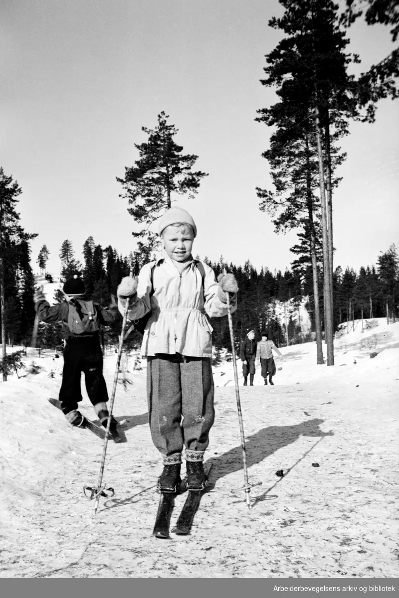 Framfylkingen. Oslo Framkrets skiskole i Nordmarka, 13 til 17 januar 1950.