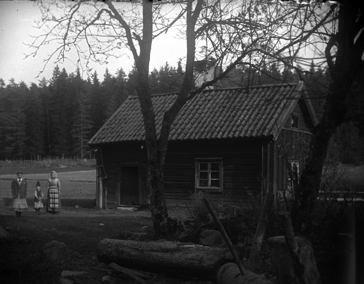 "Äpple från Vitmossen" är insamlat 2005 från torpet Vitmossen, Lillhärads socken, Västerås i och med den torp- och kulturväxtinventering som gjordes 2004. Insamlingen till museet skedde dels för att få historiskt växtmaterial och dels för att få en chans att sortbestämma de fruktträd som fanns vid torpen vid sekelskiftet 1800 - 1900. Äppelträdet stod öster om boningsgrunden och är planterat före 1947. Vid inventeringen hittades bland annat äpple, svarta vinbär, krusbär, gullris, höstaster, sårnejlika, snöbär, vit syren, aster och humle. Även astern och den vita syrenen finns insamlad till museet. Mer information finns i rapporten ”Krusbär eller måbär – vem bryr sig? Västmanlands läns museum, Kulturmiljöavdelningen rapport A 2004:A61.

Äpplet växer idag i soldattorpets fruktträdgård på museet. 2020 gjordes två ympar som står i plantskolan. Äpplet sortbestämdes vid inventeringen till `Trogsta´. 2020 menade pomologer att det också kunde vara `Cludius Höstäpple´. Även 'Flädie' och frösådd har föreslagits. 