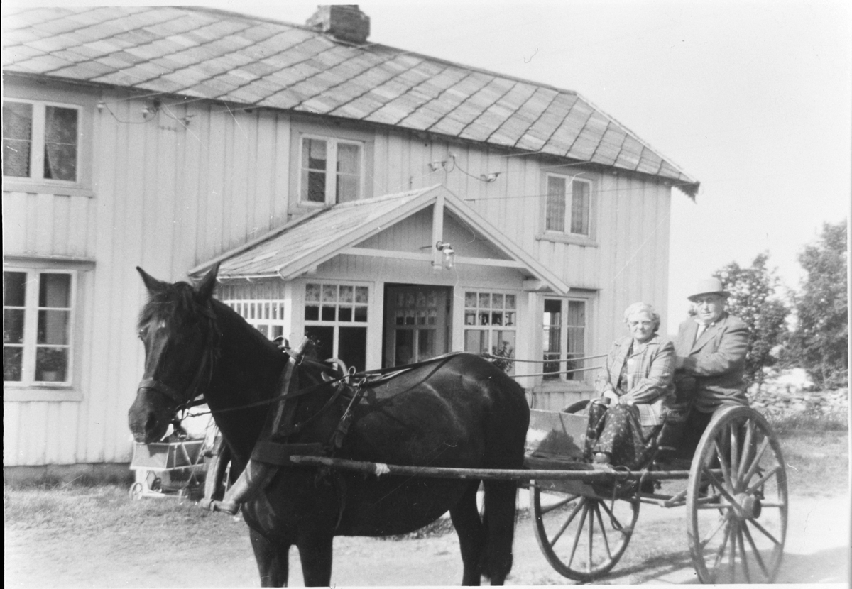Amerikabesøk får hestetransport, Leseth, Jøssund