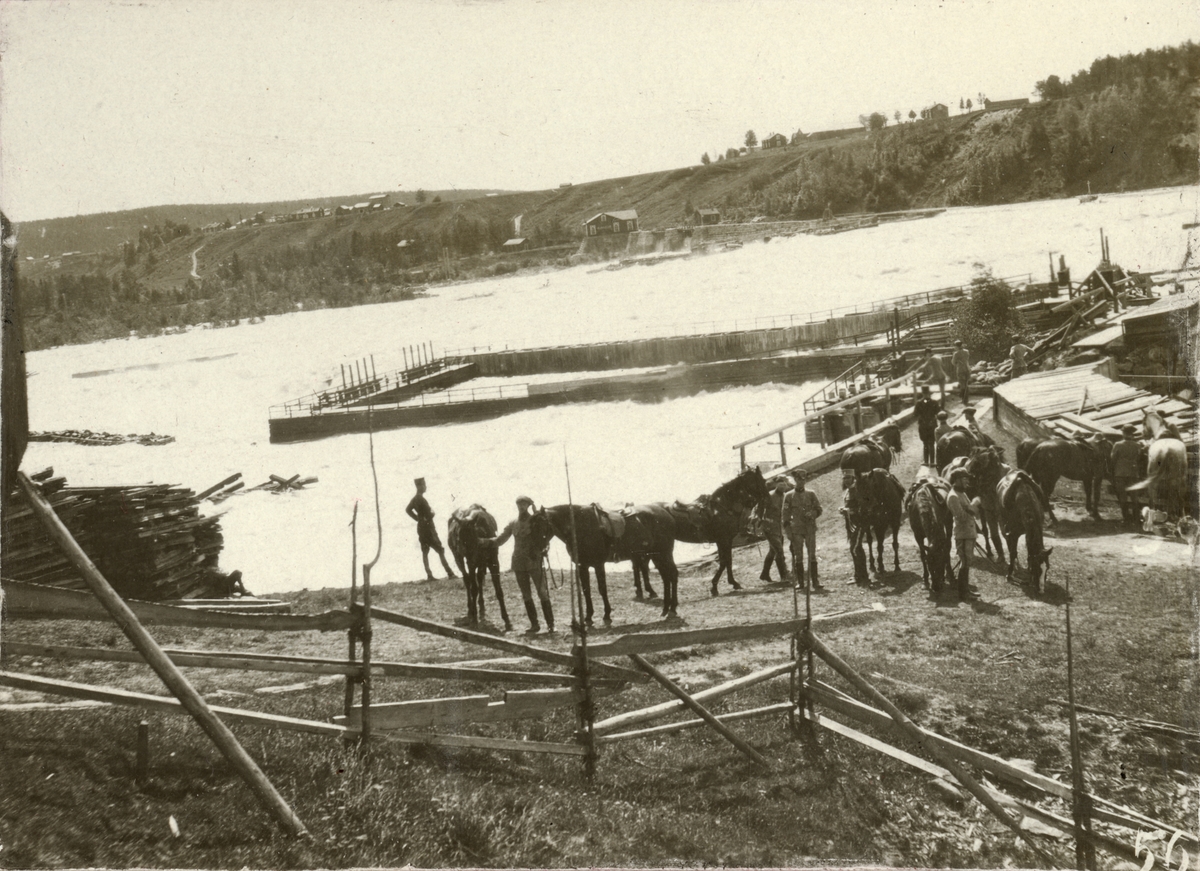 Soldater och hästar vid vattendrag.