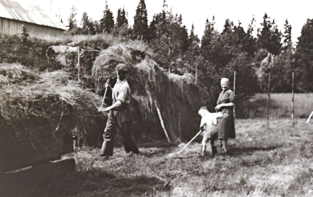 Høyhesjing på Sørmyrplassen. Olav Tullerud, f.1912, hesjer. Terje Aas med riva, Julia Brekke.