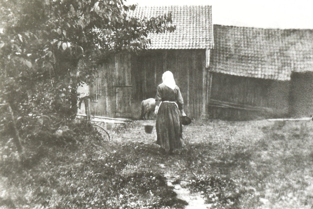 Janna Amundsen f. 1873 foran driftsbgygningen på Vesetrud som ble revet ca 1943.
Janna fikk Norges Vel medalje. Bildet er tatt før elektrisiteten kom.