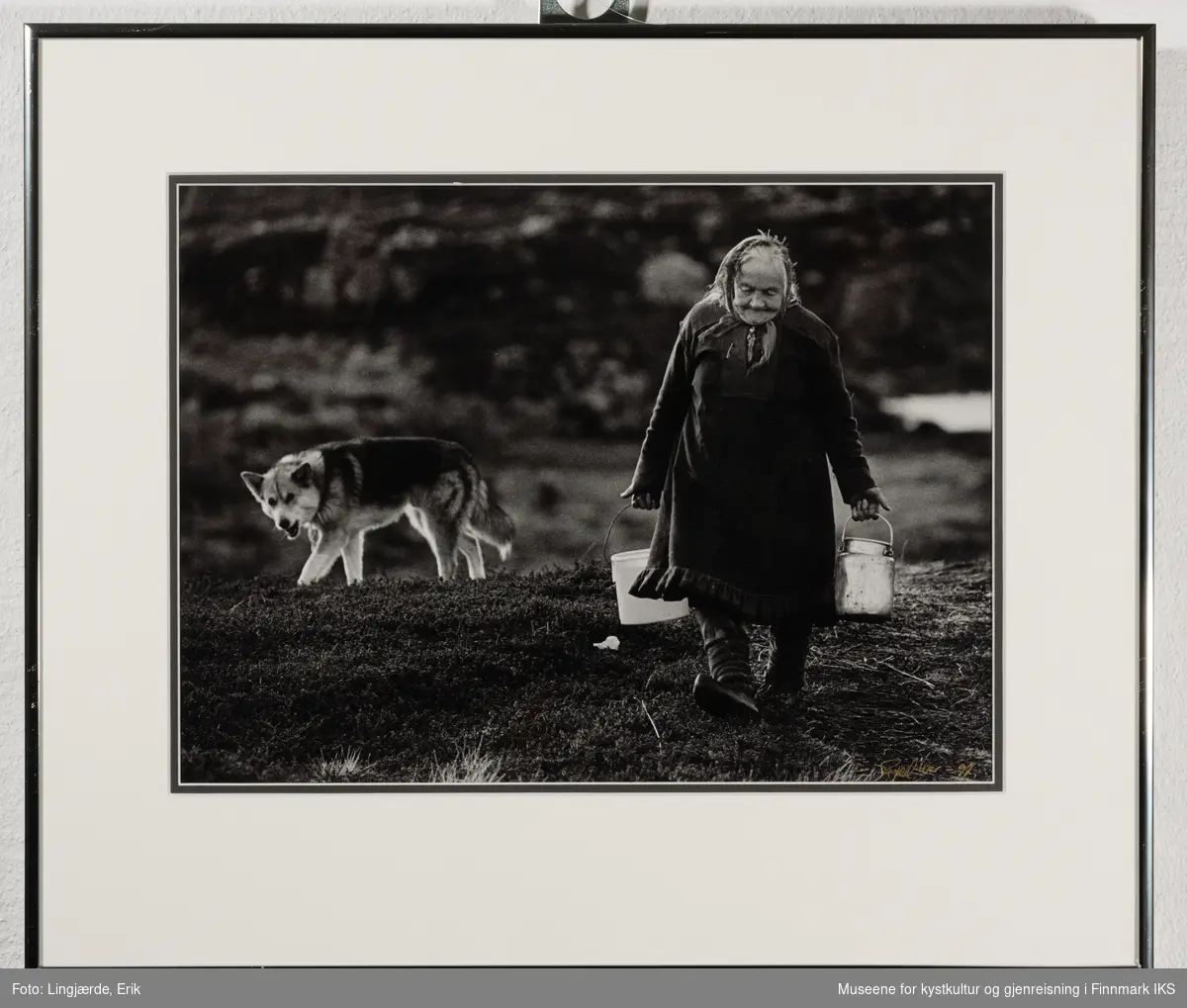 Den eldre samiske kvinne Inga bærer på en bøtte og en spann. Kanskje hun har plukket bær. Hunden til venstre følger etter henne.
