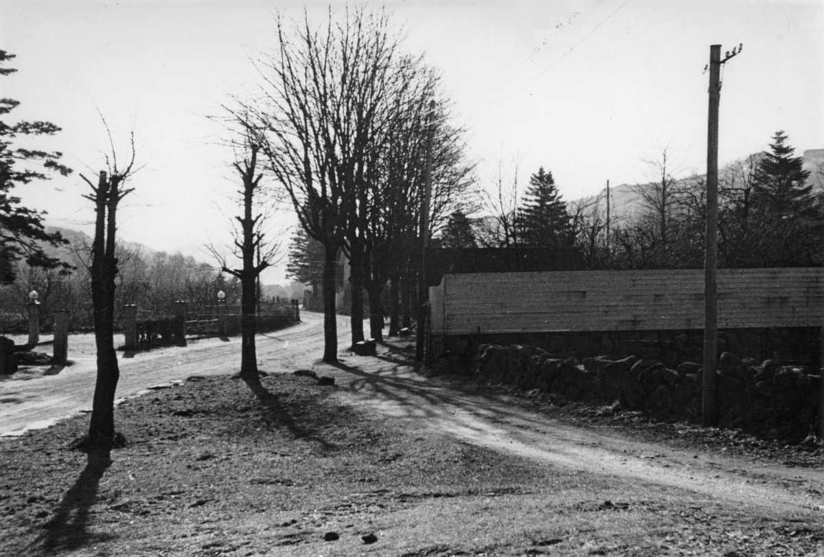 Årstaddalen v/ Rosenborg, mars 1944.