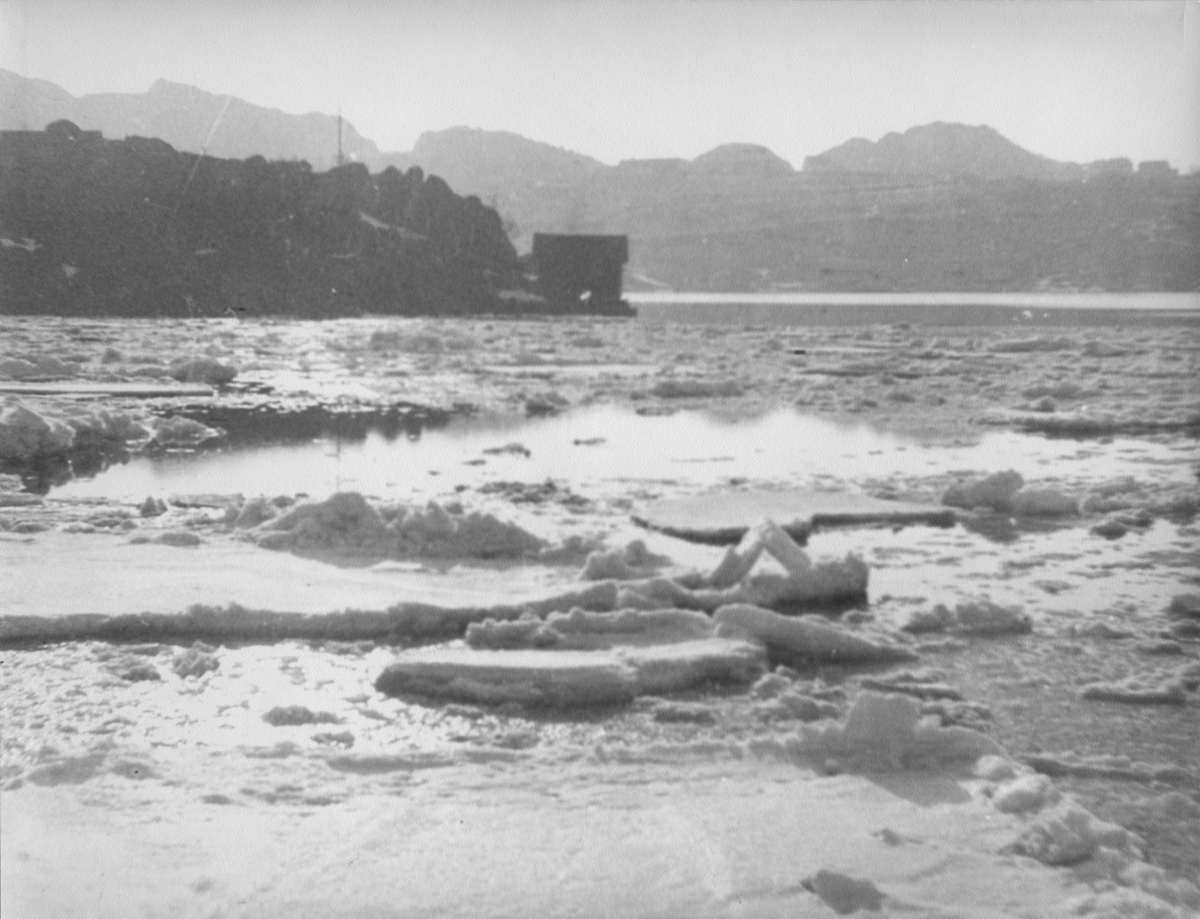 Havis, vinteren 1944.