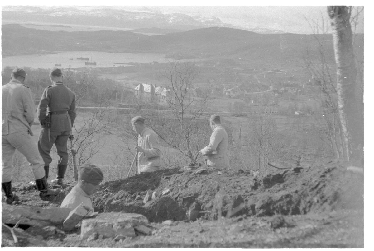 Tyske soldater graver stillinger i sørhellingen på Harstadåsen. Gullhaugen sanatorium midt i bildet, Seljestad og Harstadbotn i bakgrunnen.