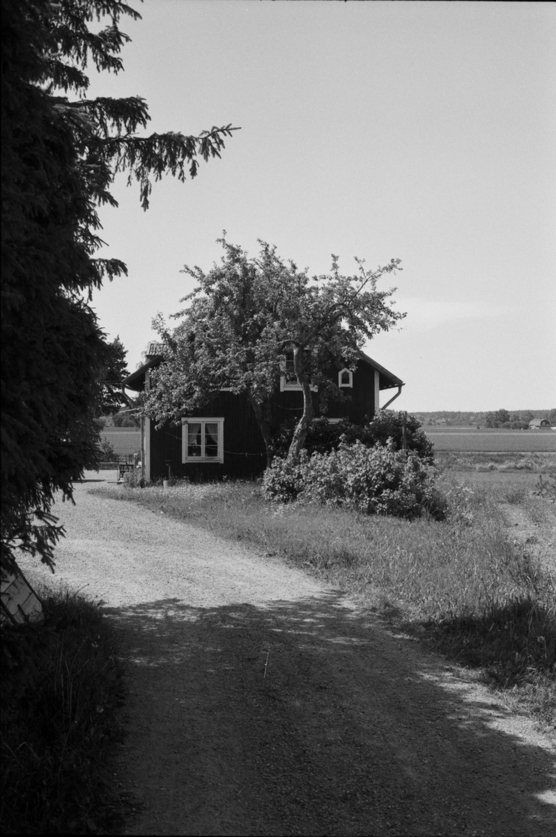 Bostadshus, Uggelsta 4:1, Åkerby socken, Uppland 1983