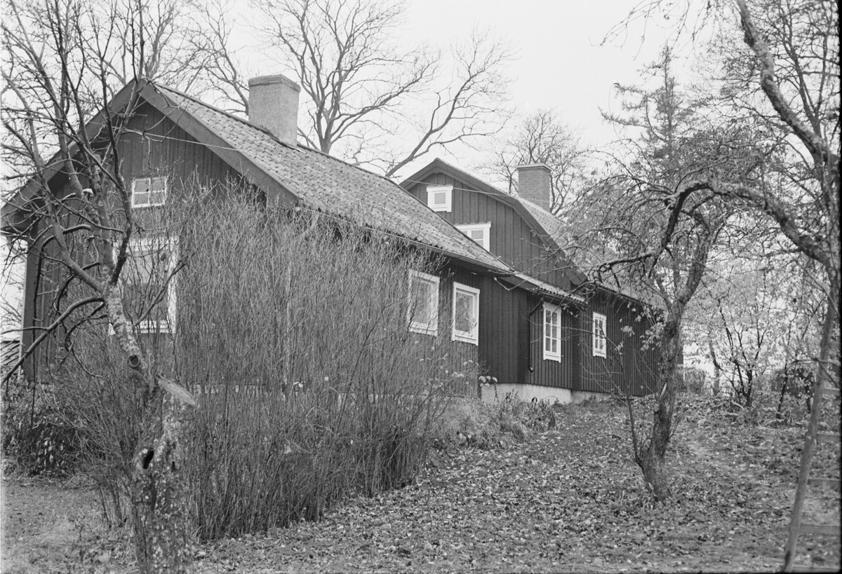 Källarstuga och bostadshus, Norrby 2:4, Vaksala socken, Uppland 1978