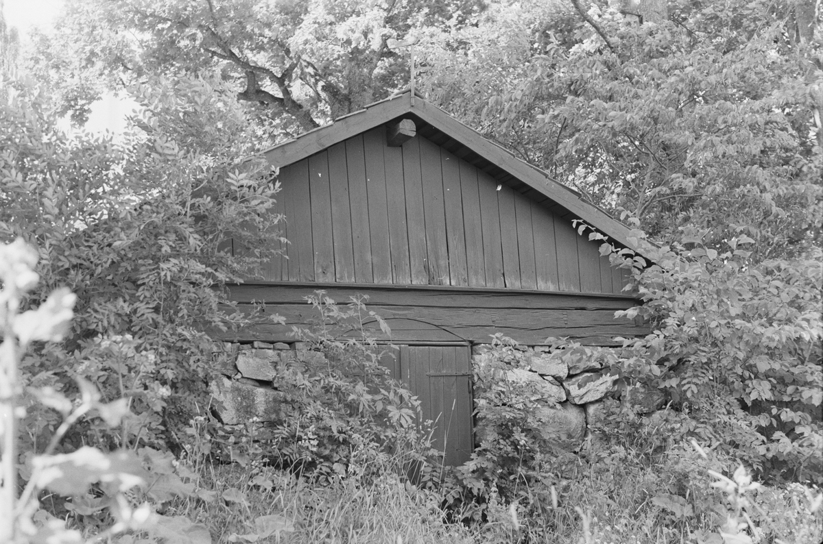 Källare, Brunna 1:1, Brunna gård, Vänge socken, Uppland 1975