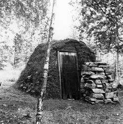 Såkalt «kjøyte» eller «jordkoie» fra Norsk Skogbruksmuseums 