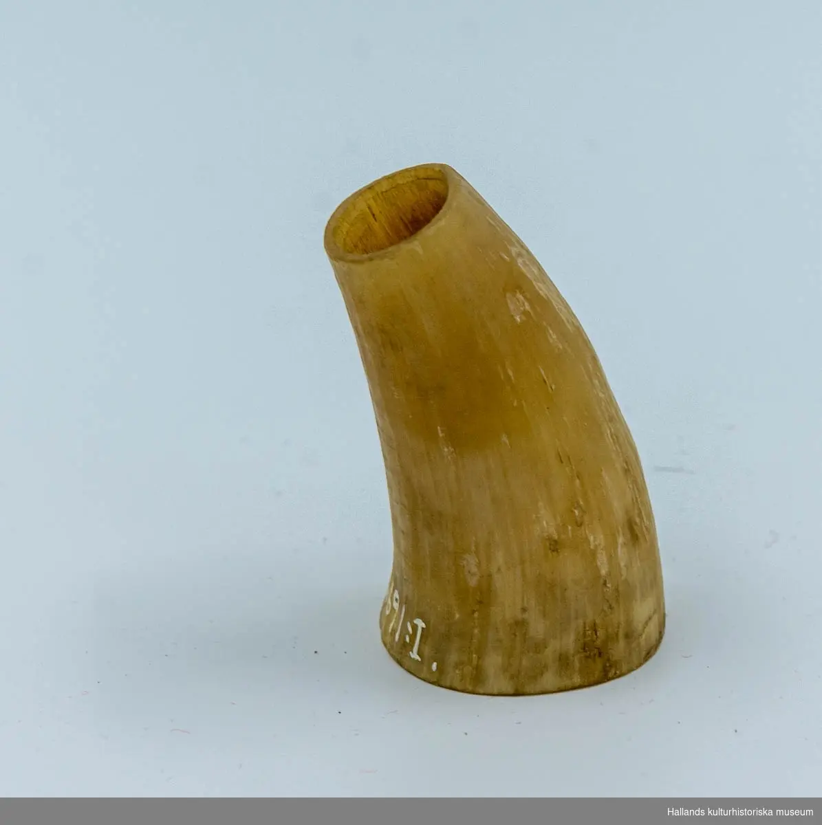 Fjälsterhorn. 12 stycken gul-svarta kohorn till korvstoppning. Längd 5 - 8 cm.
