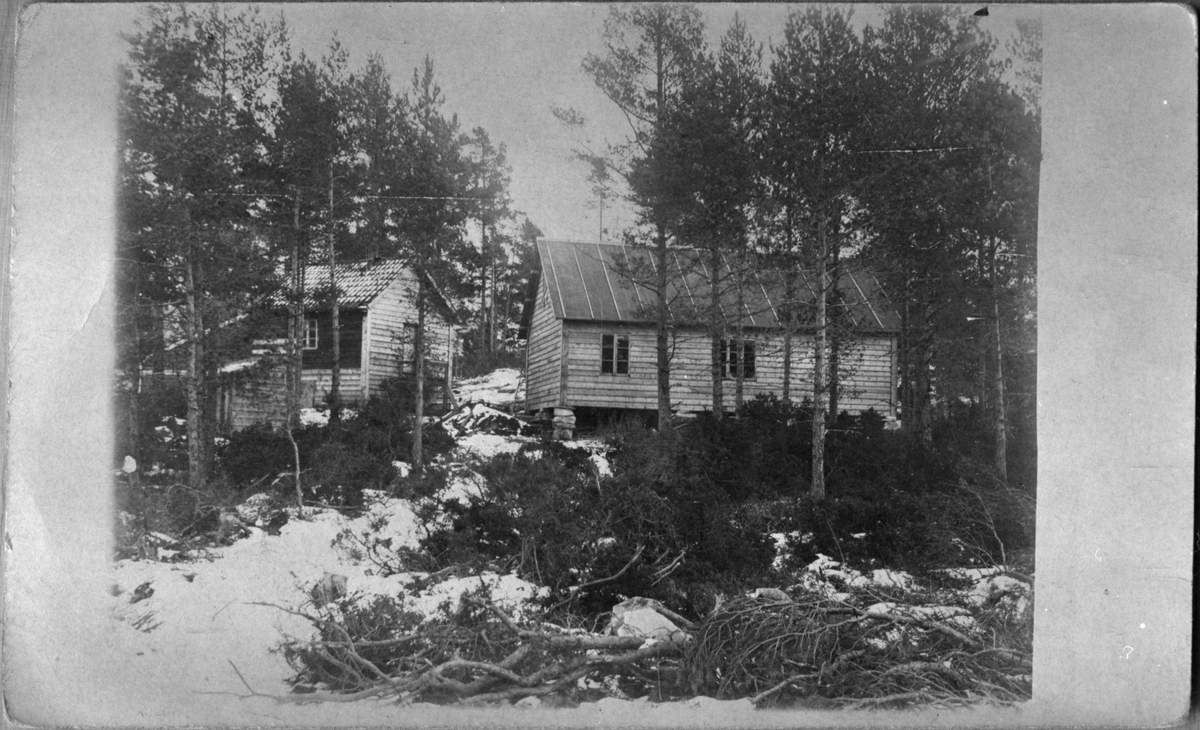 Bureisingsbruket Lundegard i Dalsbygda på Bjoa, ca. 1920. Til venstre er hestestallen, til høgre felleshus.