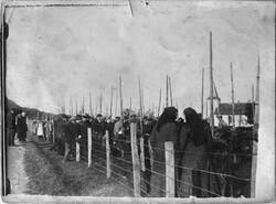 Fesjå (husdyrutstilling) på Innbjoa, 1921. Konene i forgrunn