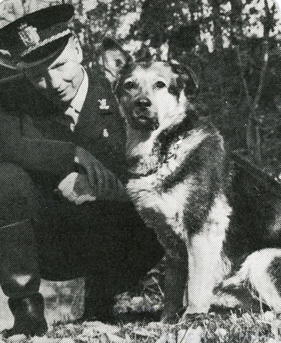 En uniformert hundefører sitter på huk ved siden av en schæferhund.