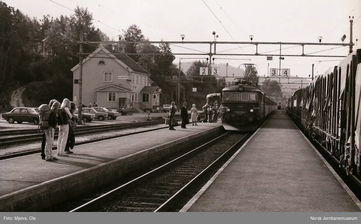 Neslansvatn stasjon med tog til Kragerø i spor 1, hurtigtog til Oslo V i spor 3 og godstog til Stavanger i spor 4