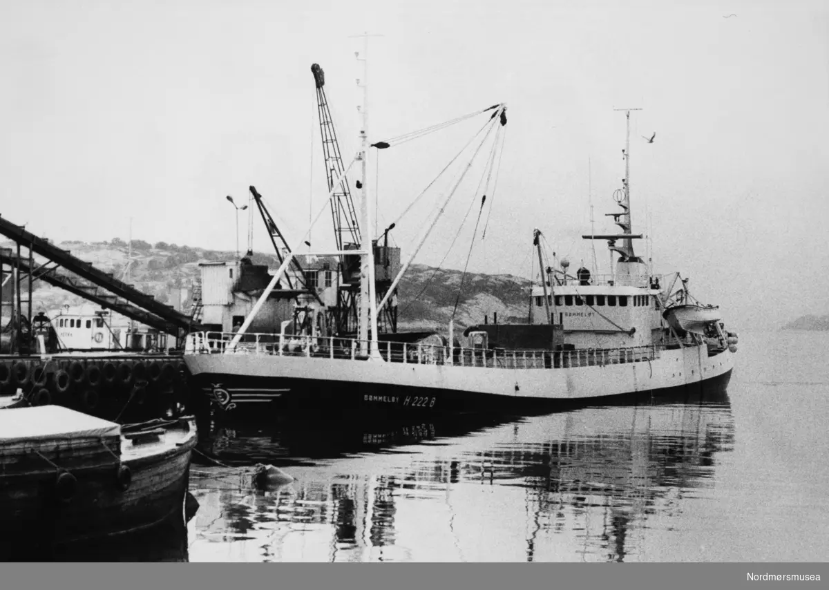 18. august 1976 kom Bømlo-snurperen «Bømmeløy» til Bentnes sildoljefabrikk i Kristiansund med det som ble beskrevet som tidenes største loddefangst. Både hadde langt over 15.000 hektoliter om bord. 10.000 hektoliter av fangsten ble losset ved Bentneset, resten ved Kristvik fabrikker i Averøy. Prisen på fangsten ble estimert til å ligge mellom 500.000 og 600.000 kroner. Skipper på båten var Kristian Eidsvig.  --

Dette er ringnotsnurperen "Bømmeløy" fra Bømlo i gamle Hordaland fylke. Her losser den ved B Heide på Bentneset.
(info: Arnfinn Herkedal)  - 
Fiskebåt H 2222 B med en Føringsbåt foran? Bildet er fra avisa Tidens Krav sitt arkiv i tidsrommet 1970-1994. Nå i Nordmøre museums fotosamling.