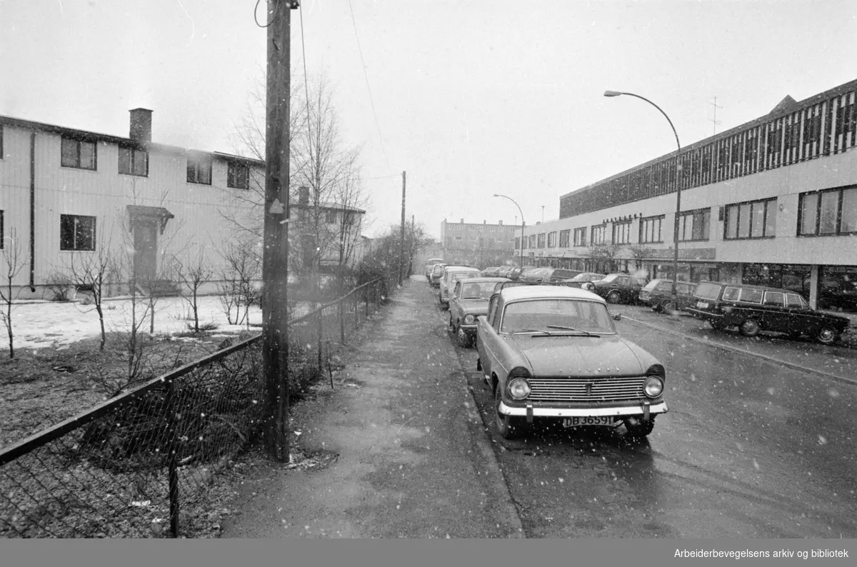Veitvet. Boligveier tettpakket av parkerte biler. April 1975
