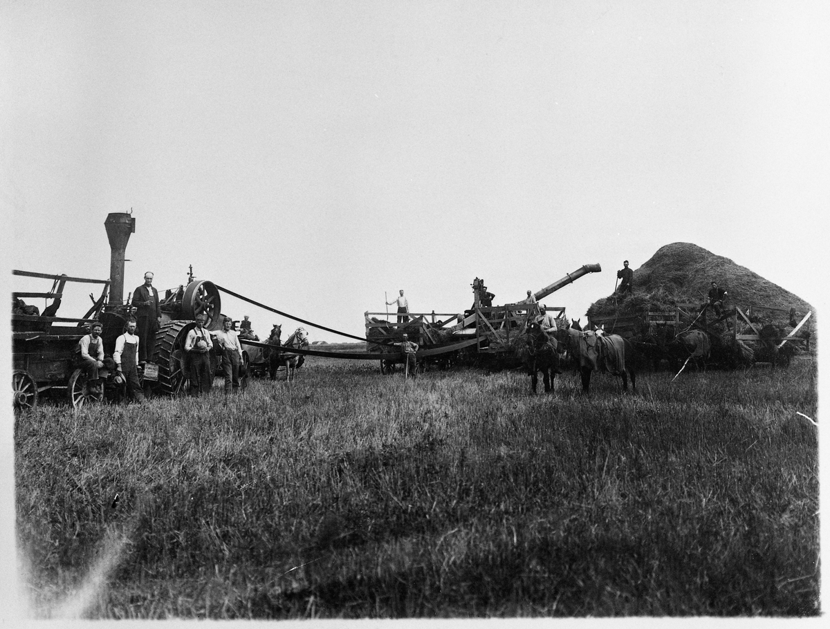 Trøsking på prærien i Forman, Nord-Dakota ca. 1914.