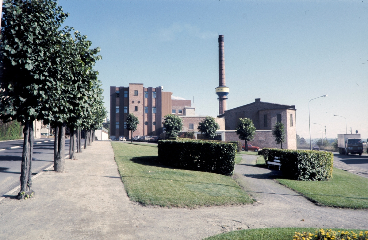 A/S Nestle Findus, Hamar. Bryggeriparken, fabrikkpipe.