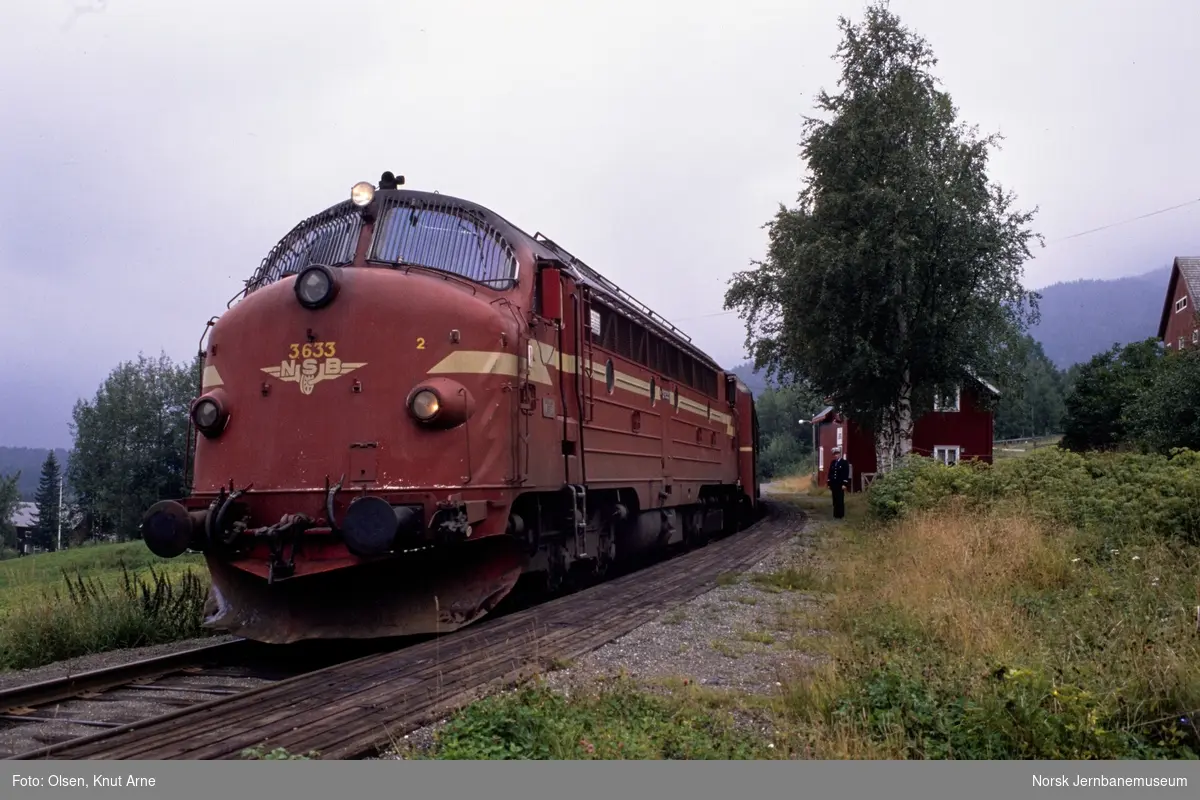 Diesellokomotiv Di 3 633 med persontog til Oslo S på Bjørgo holdeplass
