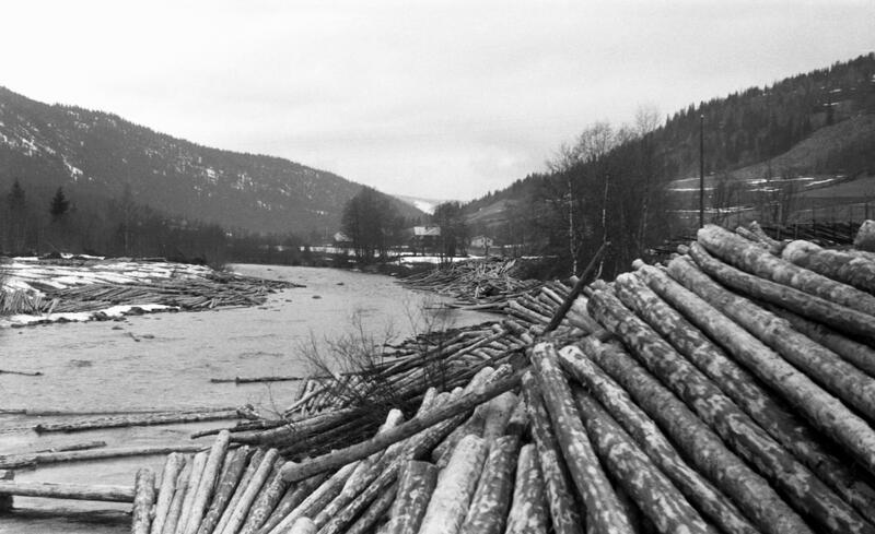 Foto av tømmer stablet på elvebredd klar til å slippes i elva.