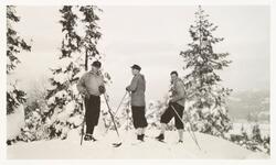 Solli, februar 1931. Tre menn i nikkers med langrennski i sn