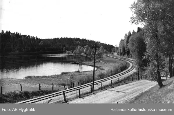 Högvadsån i Älvsered omgiven av träd och vid åkanten ligger ekor. Utmed ån går Falkenbergs Järnväg och en grusväg.
