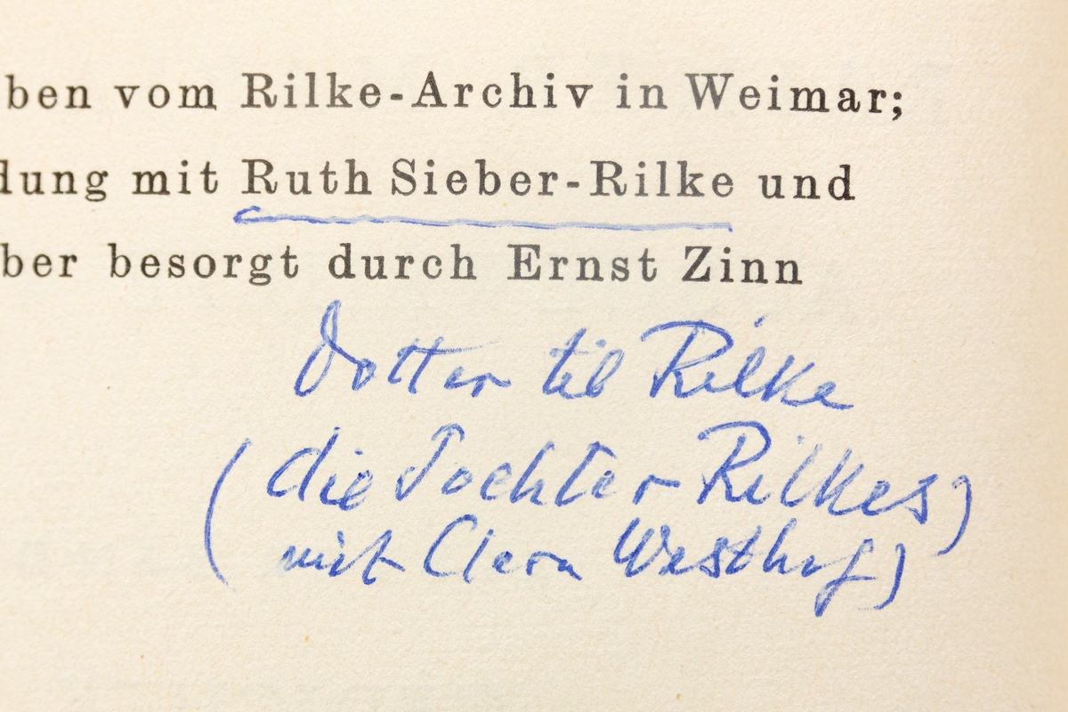 Rainer Maria Rilke: Ausgewählte Werke, Band 1