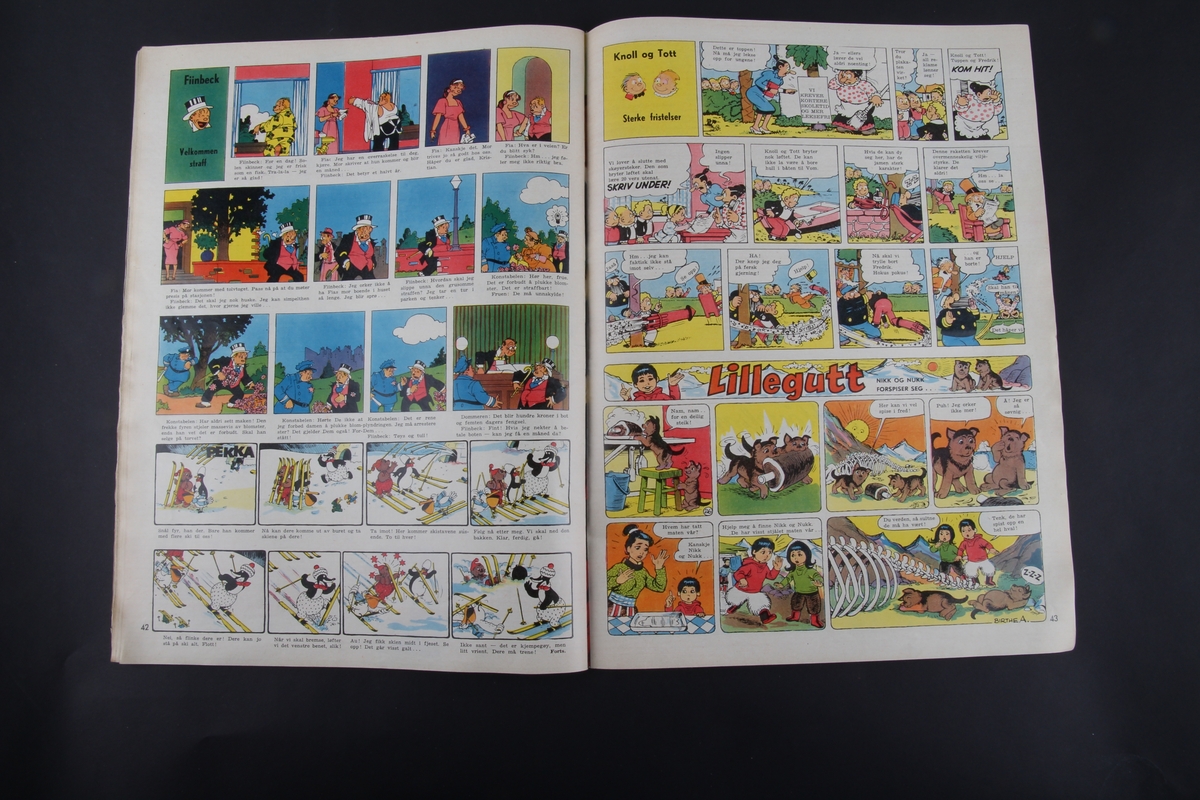 Magasin med rektangulær form som inneholder diverse artikler, oppskrifter, tegneserier og reklame.