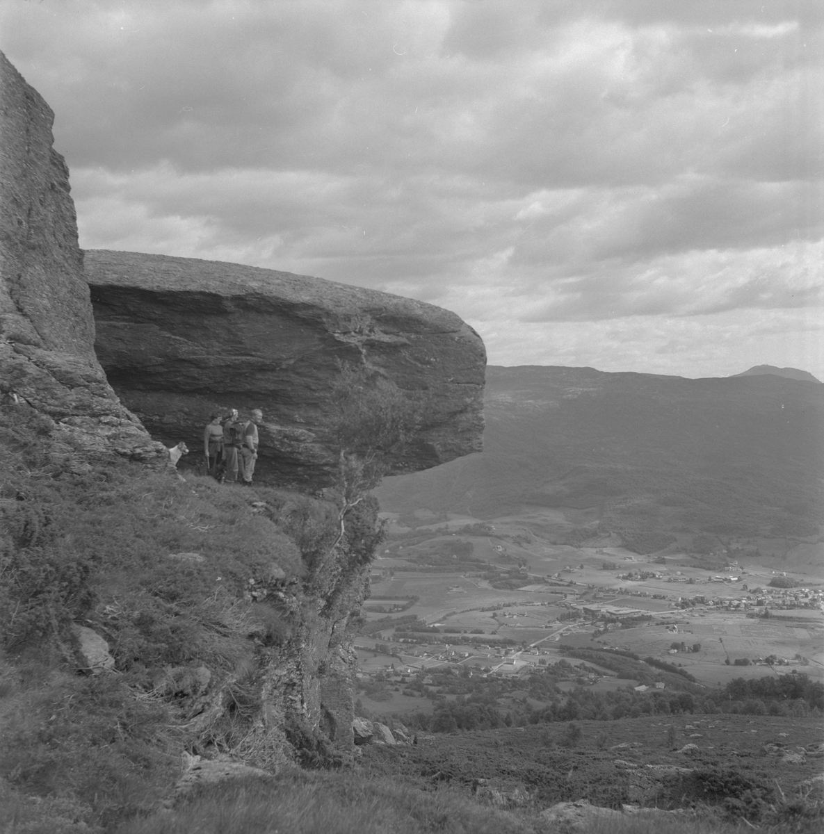 Digrakvedno på Varleite mellom Etne og Skånevik, 1978. I bakgrunnen er utsikt over Etne sett mot sør.