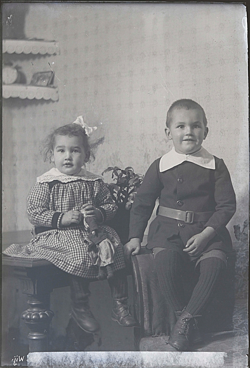 Fotografering beställd av F.E. Andersson. Föreställer sannolikt Frans Erik Anderssons barn Frans Harald Mauritz Alsbo (1915-1919) och Hildur Viola Kristina, gift Mårdstam (1917-2008).
