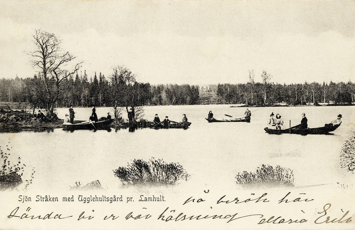 Sjön Stråken med Ugglehults gård, pr Lamhult, (Aneboda sn), ca 1905. Flera ekor är ute på sjön.