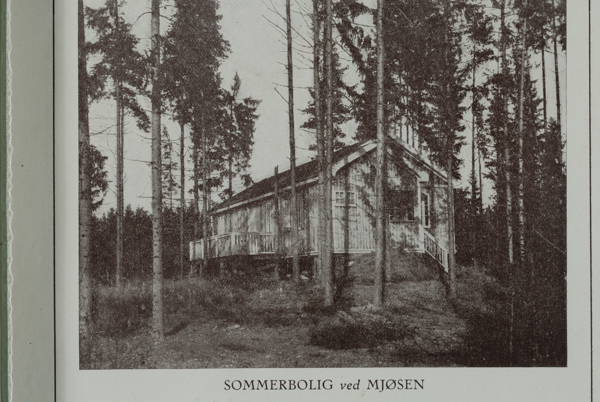 Hus katalog fra Nordviken Bruk. 