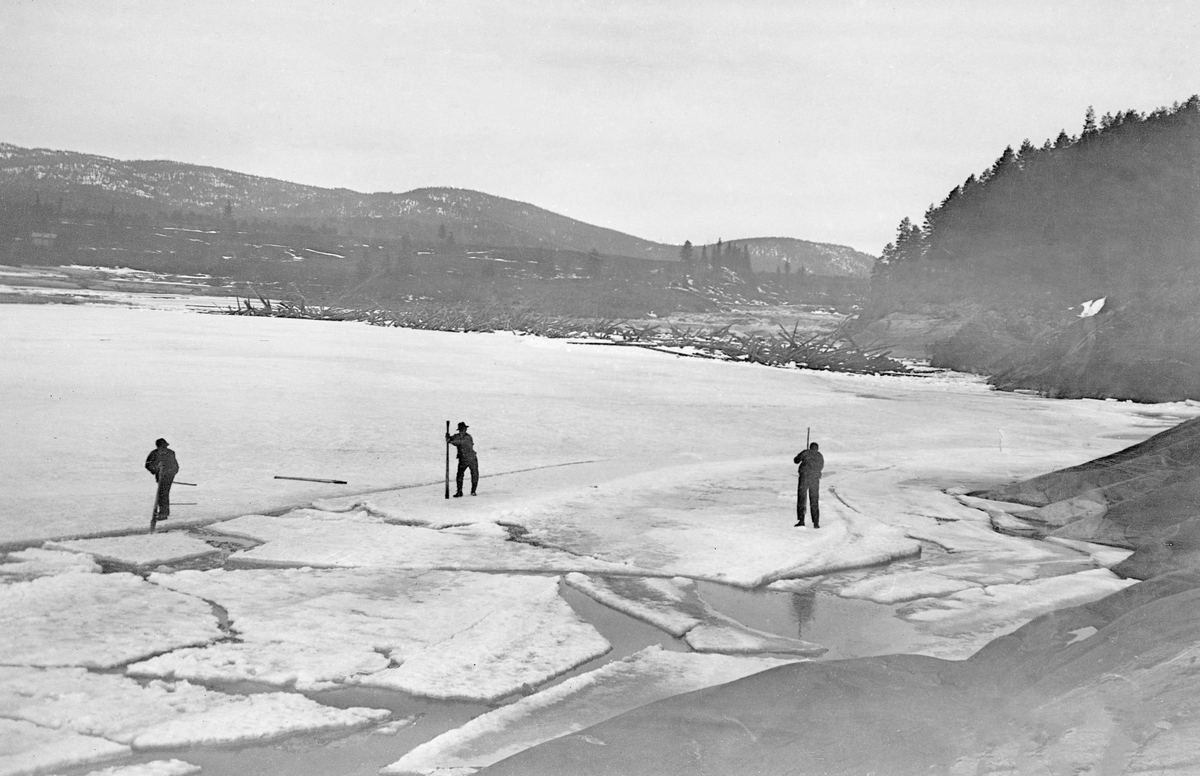 Isskyting i Fossvika i Glomma, nedenfor Braskereidfossen i Våler kommune i Hedmark. Dette fotografiet ble tatt i april 1919. I forgrunnen ser vi tre menn som skjøv på isflak, som antakelig var brukket løs etter sprenging, langs østre elvebredd. I bakgrunnen ser vi en tømmerhaug som var innfrosset i isen under fossen, som delvis var isfri. Målet med det arbeidet som foregikk i forgrunnen må ha vært å fjerne isen på medstrøms side, slik at det ble mulig å arbeide ut tømmeret i haugen.