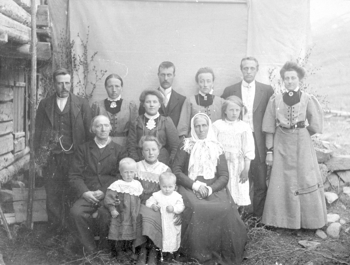 Truleg Kongslienfamilien i Vang.
