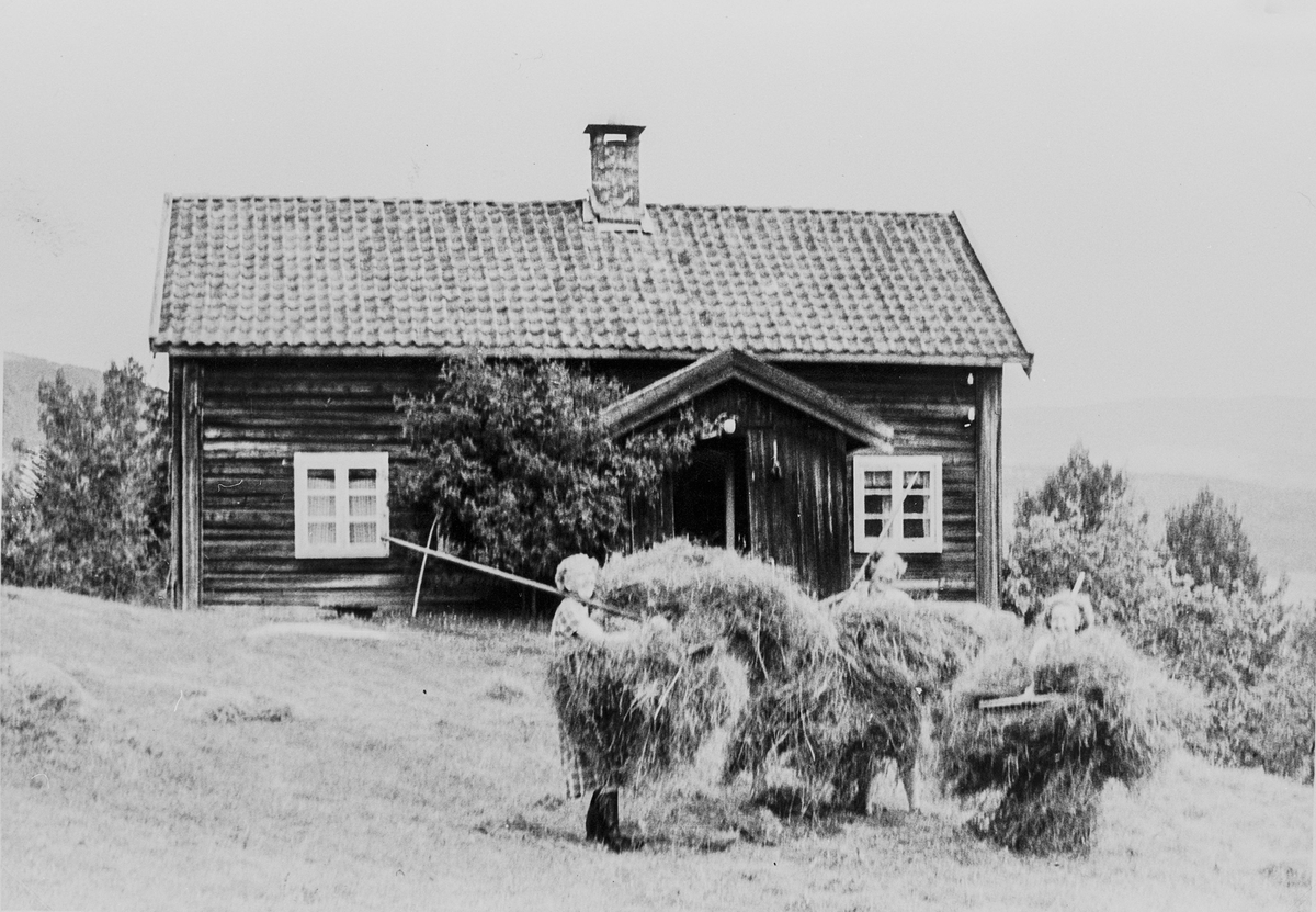 Høyonn på Skåla, omkring 1950.