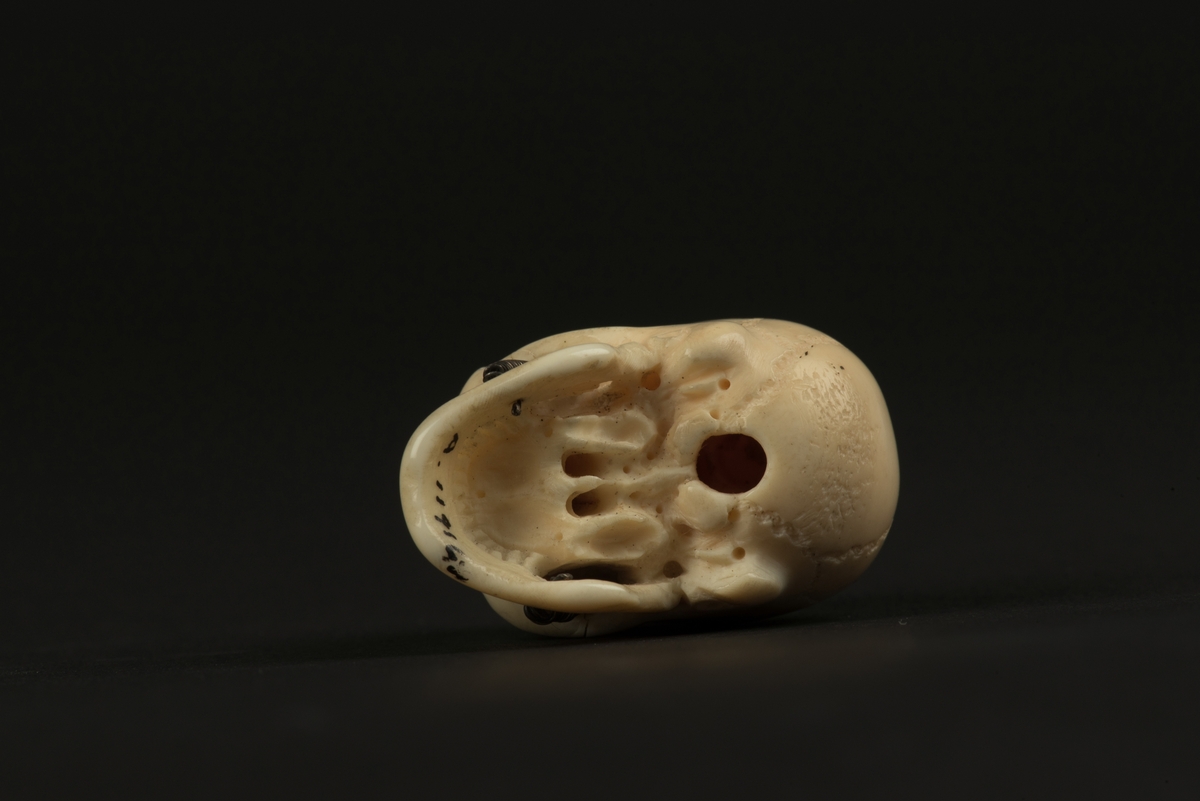 Osteologiskt miniatyrkranium av ben.
Ett detaljrikt skuret litet kranium med metallfjädrar för käken. Kraniet är skuret av bataljonsläkaren Richard Gyllencreutz.
Enligt museets ursprunglig katalog ska kraniet vara tillverkat av mammutben.