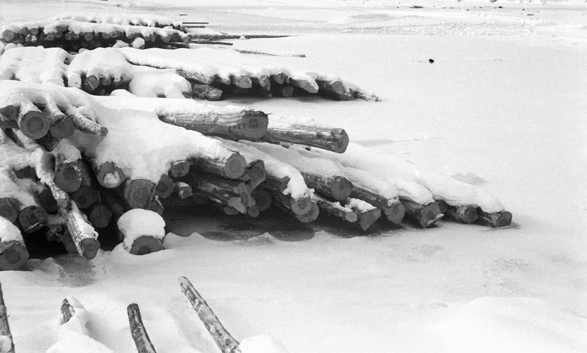 Nediset og delvis nedsnødd tømmer på Glomma på Tynset i Hedmark, vinteren 1952. Ved å legge tømmeret på isen på denne måten sparte man seg for utislagsarbeidet som måtte til, om fløtingsvirket hadde ligget på elvebakken. Det var imidlertid flere betenkeligheter knyttet til å plassere tømmeret på isen på denne måten. Når elva gikk opp her, ville tømmerstokkene følge med nedover, men det kunne få hard medfart dersom isflakene pakket seg sammen og dannet propp lengre nede i vassdraget. Vel så problematisk var det at det tømmeret som ble lagt på elveisen, i hvert fall det som lå underst, lett ble eksponert for kjøving, noe som innebar at det ble vannmettet og tungt, og følgelig lett kunne synke på den lange fløtingsstrekningen sørover mot industrien ved den nedre delen av vassdraget.