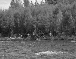 Sluttrensk i elva Stor-Grøna i Trysil, Hedmark. Fløtere i ar