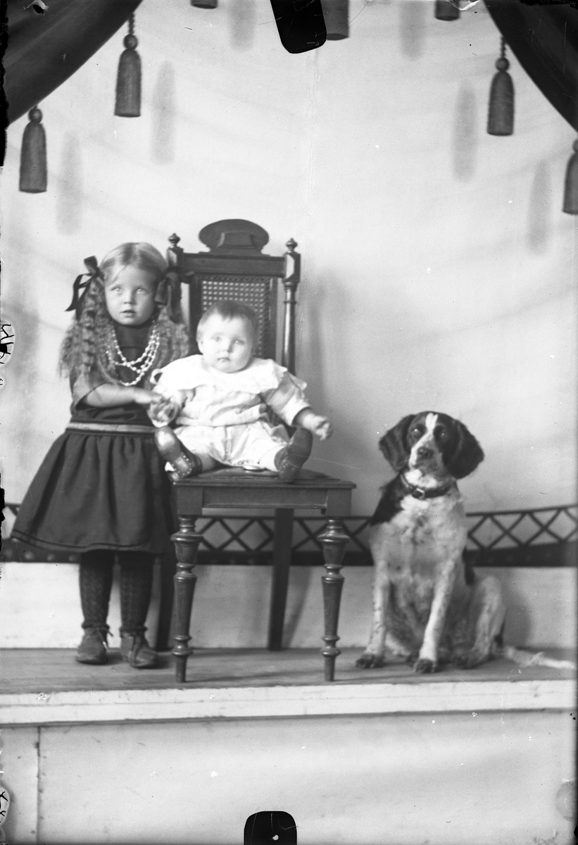 Portrett av to små barn og en hund